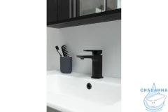 Смеситель для раковины Allen Infinity 265436 (черный матовый)
