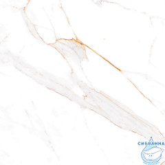 Плитка керамогранитная AZARIO AFION GOLD 60х60 Glossy (P104082160G)