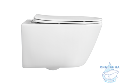  Унитаз подвесной безободковый Aquatek Бетта AQ1253W-00 с сиденьем Soft Close (микролифт)