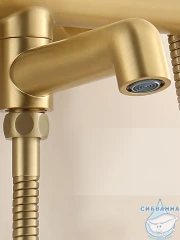 Душевая система Calypso CS2420-3 250 1 режим (золото матовое)