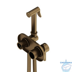 Встраиваемый смеситель с гигиеническим душем Damixa Option 214000000 (бронза)