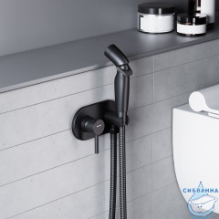 Смеситель с гигиеническим душем Damixa Option 212000300 (черный матовый)