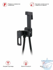 Встраиваемый смеситель с гигиеническим душем Raglo R51.52.06 (черный матовый)