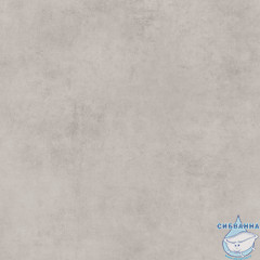 GT60600506MR-4 Керамогранит Stardust_GT Светло-сер. 60x60 _ 1\48,96