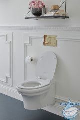 Унитаз подвесной Jacob Delafon Cleo 1889 EDZ102-0 с сиденьем Soft Close (микролифт)