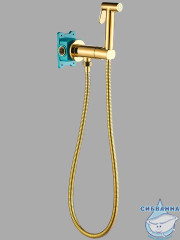 Встраиваемый смеситель с гигиеническим душем ALMAes Agata AL-877-08 (золото) ( с прогрессивным смесителем)