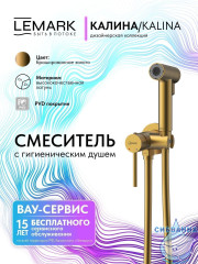 Встраиваемый смеситель с гигиеническим душем Lemark Калина LMF-2118S-BRG (брашированное золото)