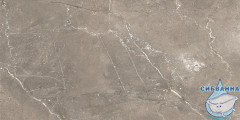 GT122VG Плитка облиц. Siluet GT Кор. 50*25 _ 1 \74,25