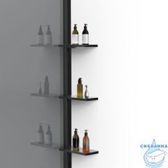 Walk-in Vincea Walk In HR 100 профиль черный, стекло тонированное VSW-1HWS100CGB