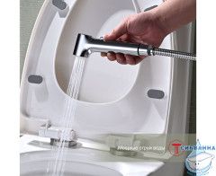 Встраиваемый смеситель Raglo R03.53 с гигиеническим душем (хром)