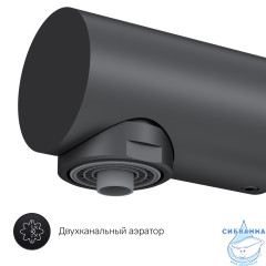 Смеситель для кухни AM.PM Like F8005722 (черный матовый)