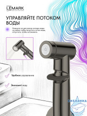 Встраиваемый смеситель с гигиеническим душем Lemark Сибирь LMF-7058B-GM (графит)