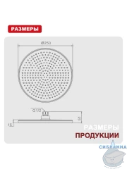 Верхний душ Raglo 250 R451.50.06 (черный матовый)