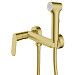Смеситель с гигиеническим душем Azario Alanti AZ-K2532MG (золото матовое)