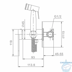 Встраиваемый смеситель с гигиеническим душем Raglo R10.52.09 (графит)
