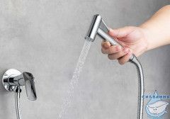 Встраиваемый смеситель с гигиеническим душем Aquatek Вега AQ1019CR (хром )
