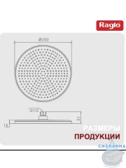 Верхний душ Raglo 250 R451.50.03 (сатин золотой)