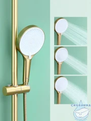 Душевая система Raglo 300 1 режим R10.24.03 (сатин золотой)