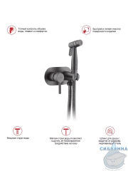 Встраиваемый смеситель Raglo R20.52.09 с гигиеническим душем (графит)