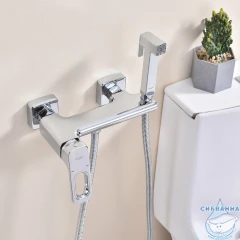 Смеситель с гигиеническим душем Raglo R51.51 (хром)