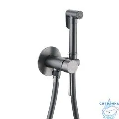 Встраиваемый смеситель с гигиеническим душем ABBER Wasser Kreis AF8125NG (никель)