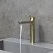 Смеситель для раковины Lemark Ursus LM7209BG (с донным клапаном) (брашированное золото)
