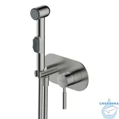 Встраиваемый смеситель с гигиеническим душем Wasserkraft Wern 4238 (никель)