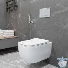 Унитаз подвесной безободковый Charus Pinto Rimless EWC700-126W с сиденьем Soft Close (микролифт)