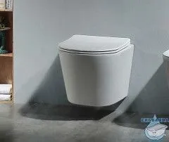 Унитаз подвесной безободковый Aquatek Вега AQ1904T-00 с сиденьем Soft Close (микролифт)