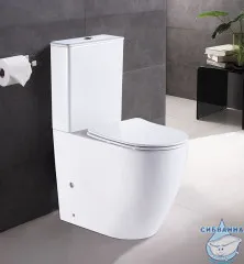 Унитаз напольный безободковый Azario Mirada AZ-1289A с бачком и сиденьем Soft Close (микролифт)