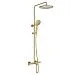 Душевая система Vincea Desire 250 1 режим VSFS-1D1TBG (брашированное золото)