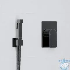 Встраиваемый смеситель с гигиеническим душем Wasserkraft A66096 (черный глянец)