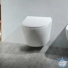 Унитаз подвесной безободковый Aquatek Европа AQ1900-00 (с сиденьем Soft Close (микролифт)