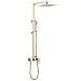 Душевая система Abber Daheim 250 1 режим AF8220G (золото матовое)