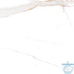 Плитка керамогранитная AZARIO AFION GOLD 60х60 Glossy (P104082160G)