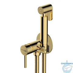 Встраиваемый смеситель с гигиеническим душем Wasserkraft A70738 (глянцевое золото)