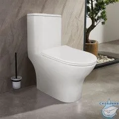 Унитаз напольный со смывом торнадо Azario Terni с бачком и сиденьем Soft Close (микролифт) AZ-8618T