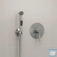 Встраиваемый смеситель с гигиеническим душем Wasserkraft A04200 (никель)