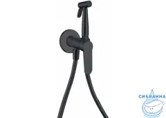 Встраиваемый смеситель с гигиеническим душем Aquanet Passion AF300-52B (черный матовый)